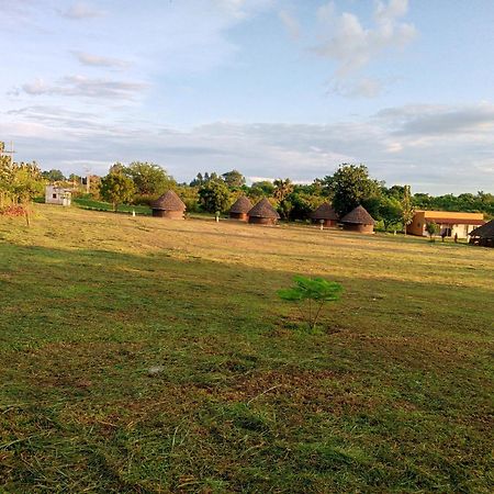 Grassroots Cottages Murchsion Falls Purongo Kültér fotó