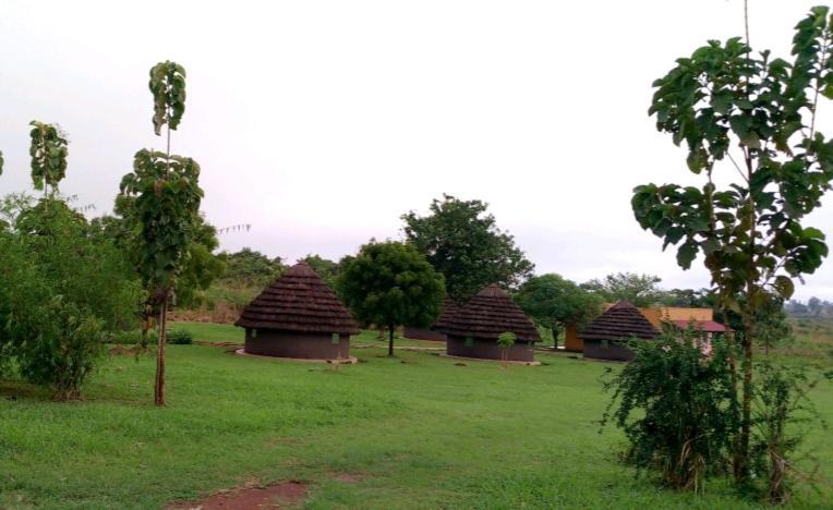 Grassroots Cottages Murchsion Falls Purongo Kültér fotó