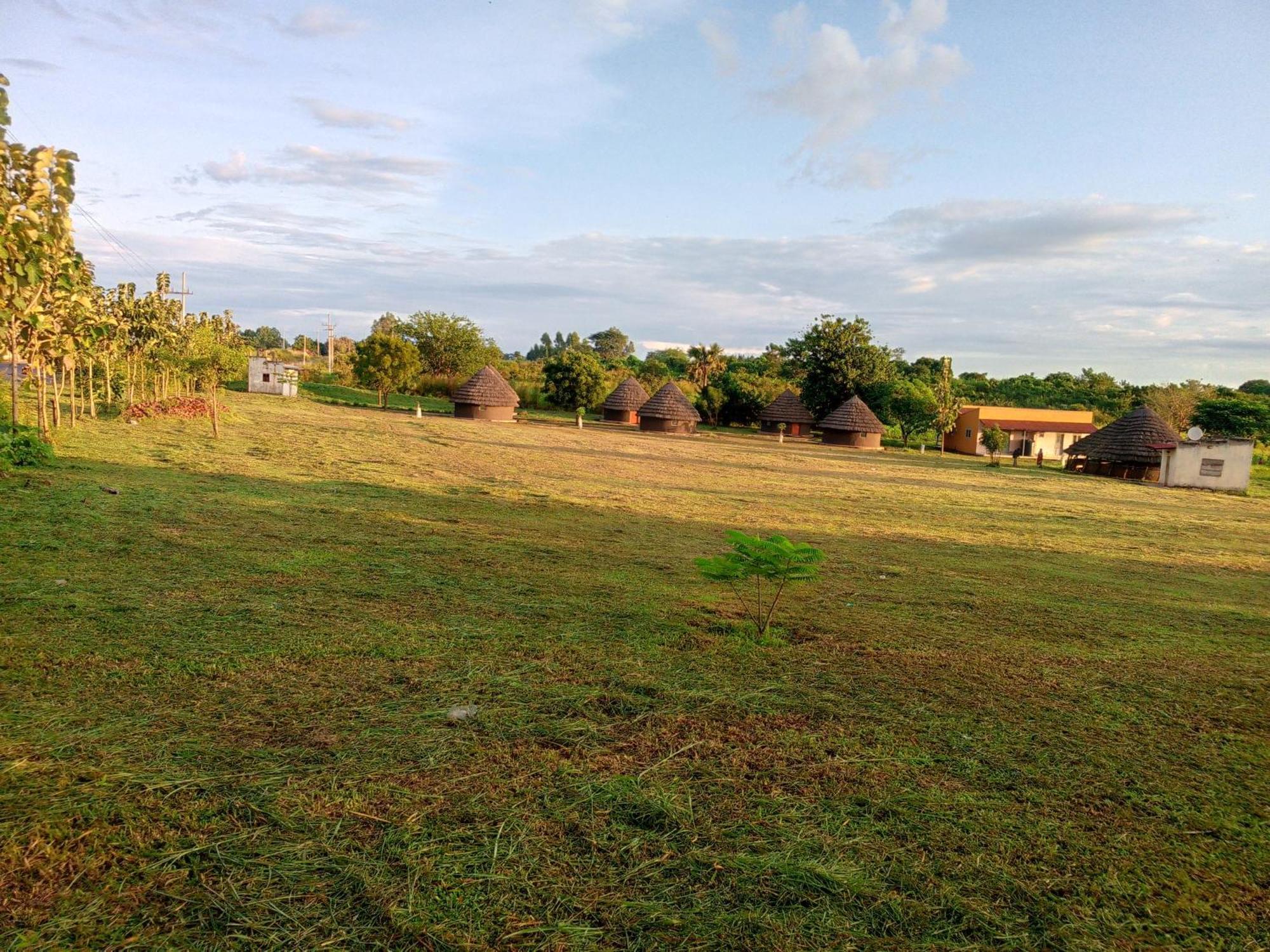 Grassroots Cottages Murchsion Falls Purongo Kültér fotó