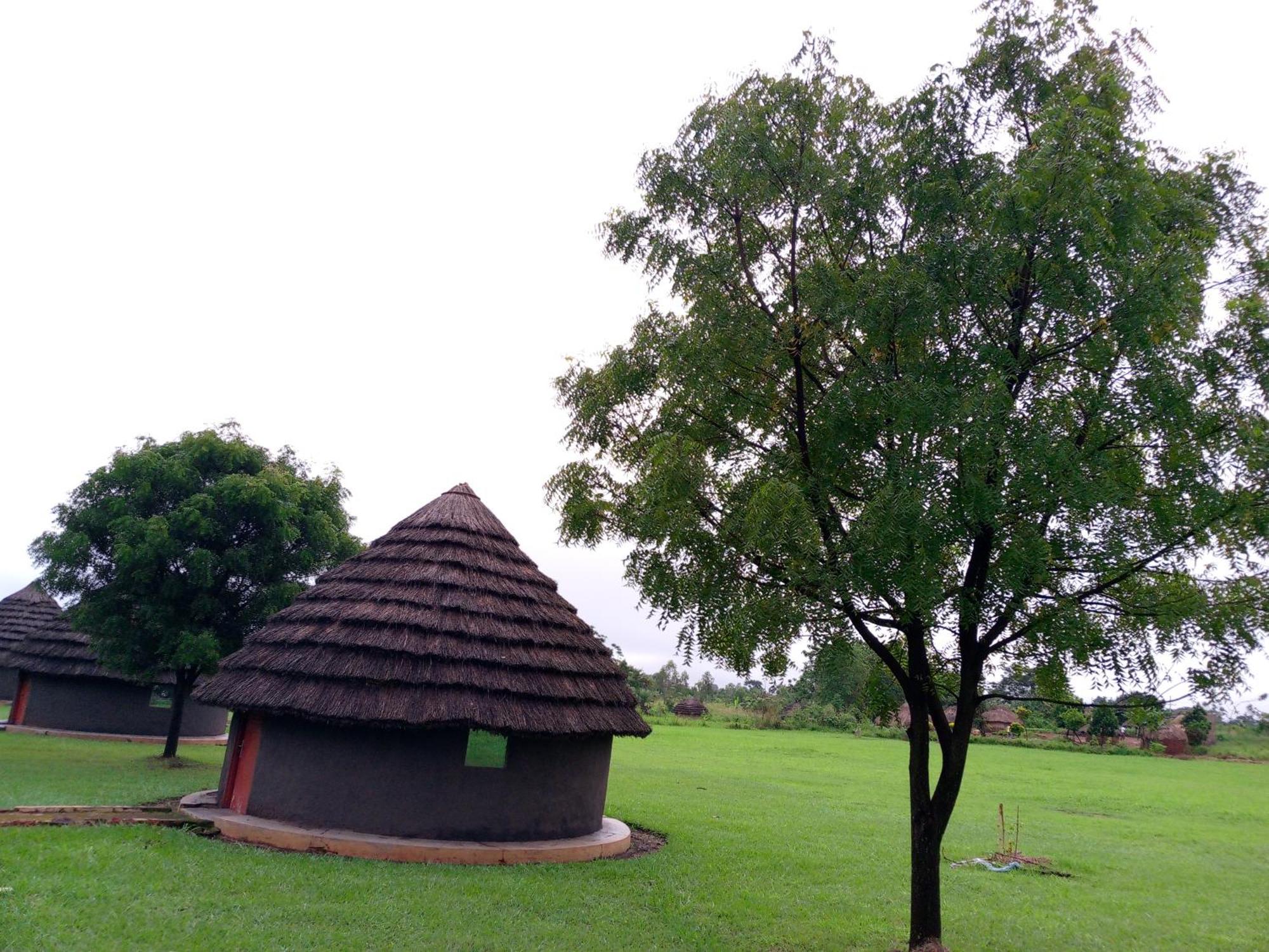 Grassroots Cottages Murchsion Falls Purongo Kültér fotó